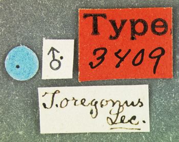 Media type: image;   Entomology 3409 Aspect: labels
